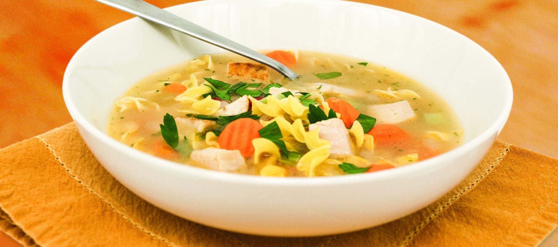 IMG_2043_V0R0_F-1-scaled-1920x850 Turkey Noodle Soup