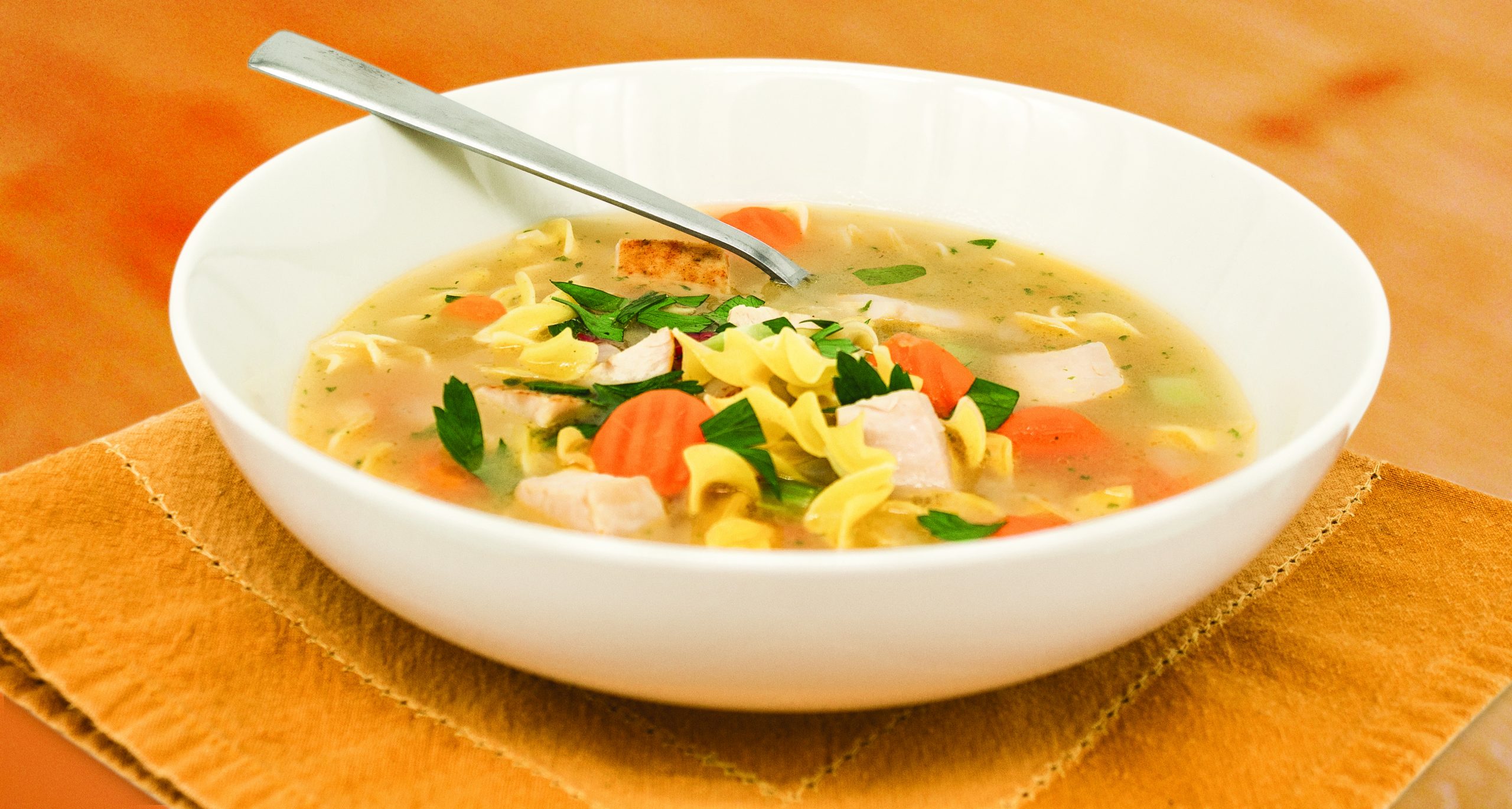 IMG_2043_V0R0_F-scaled Turkey Noodle Soup